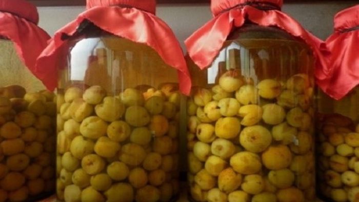 Gợi ý kế hoạch du lịch Mộc Châu 4 ngày 3 đêm từ Hà Nội cực kỳ chi tiết 3