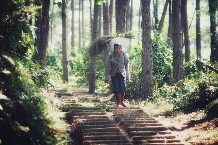 Đánh giá vẻ đẹp du lịch Huế giống như một phiên bản thu nhỏ của Đà Lạt
