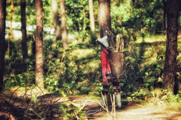 Đánh giá vẻ đẹp du lịch Huế giống như một phiên bản thu nhỏ của Đà Lạt