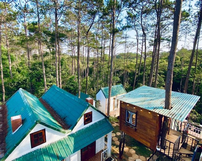 - Độc đáo Kinh nghiệm du lịch Măng Đen vào những ngày lễ Tết 3