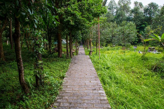 Khu Di Tích Lăng Mạc Cửu Hà Tiên - Nơi Yên Bình Trong Lòng Kiên Giang 9