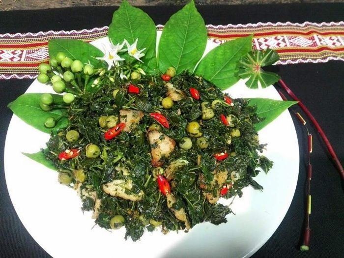 Lá mì Kon Tum, nguyên liệu đặc biệt cho các món ăn độc đáo 6