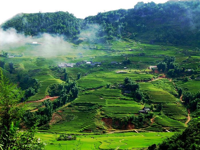 Gợi ý kế hoạch du lịch Mộc Châu 4 ngày 3 đêm từ Hà Nội cực kỳ chi tiết 8