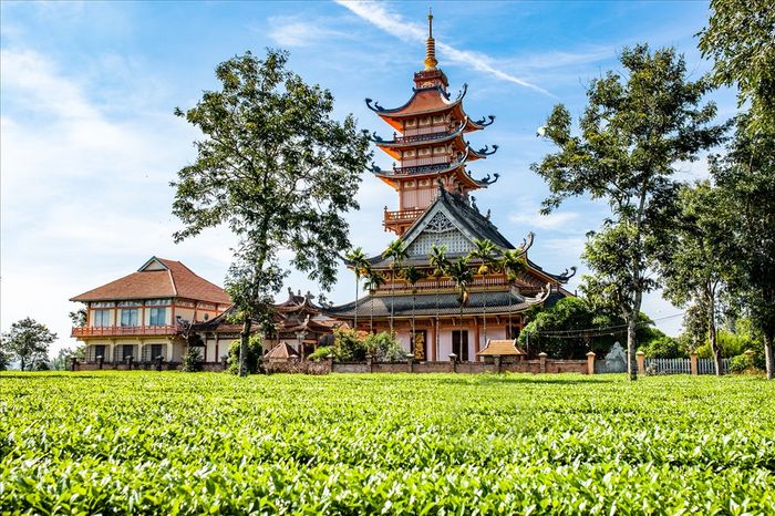 Trải nghiệm hành trình Pleiku - Kon Tum - Măng Đen 4 ngày 3 đêm đầy hấp dẫn 7