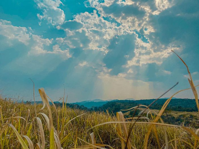 Khám phá hành trình Pleiku - Kon Tum - Măng Đen 4 ngày 3 đêm đầy thú vị 9