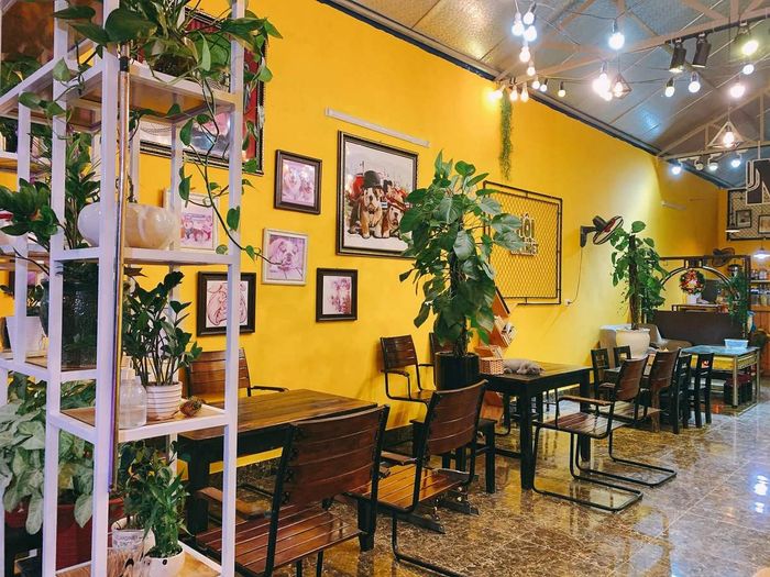 Tham gia vào thế giới ẩm thực của tuổi teen với những món ngon không thể cưỡng lại tại Milu Coffee 5