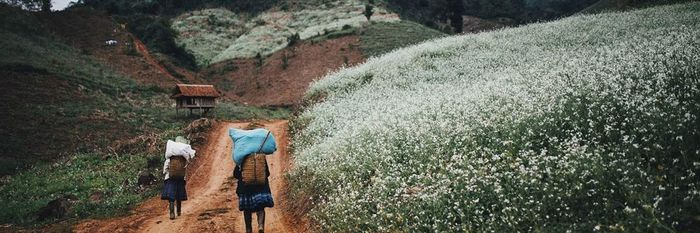 Pa Phách - Điểm sáng dịu dàng trên cao nguyên Mộc Châu 9