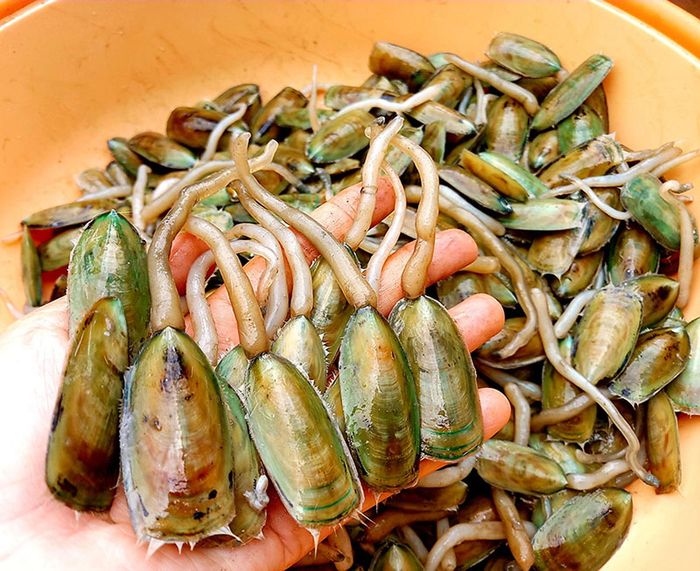 Cà xỉu, món đặc sản Kiên Giang độc đáo khiến nhiều người mê mẩn