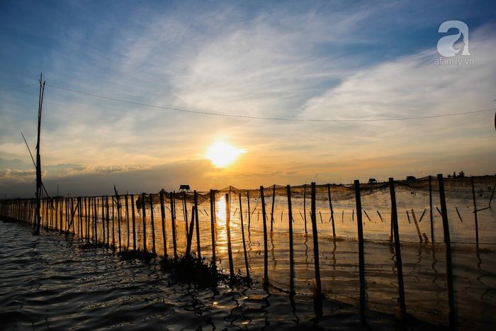 Mang theo ba lô và hướng về đầm Chuồn, viên ngọc quý giấu kín ở xứ Huế - nơi mơ ước lặng lẽ hiện hữu 6