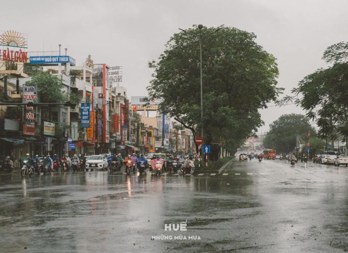 Thưởng Lập: Ngắm Nhìn Huế Trong Những Mùa Mưa Buồn Man Mác 5