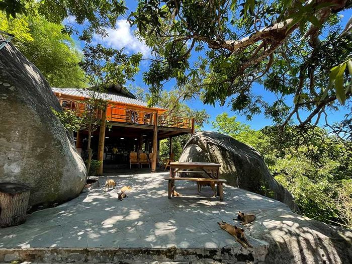 Mẹo du lịch Hòn Sơn: Thưởng thức đồ ăn và trải nghiệm tuyệt vời tại Mango House