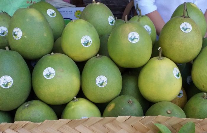 Hãy đến thưởng thức ngay vị ngọt thanh, hương thơm của bưởi thanh trà ở Huế 4