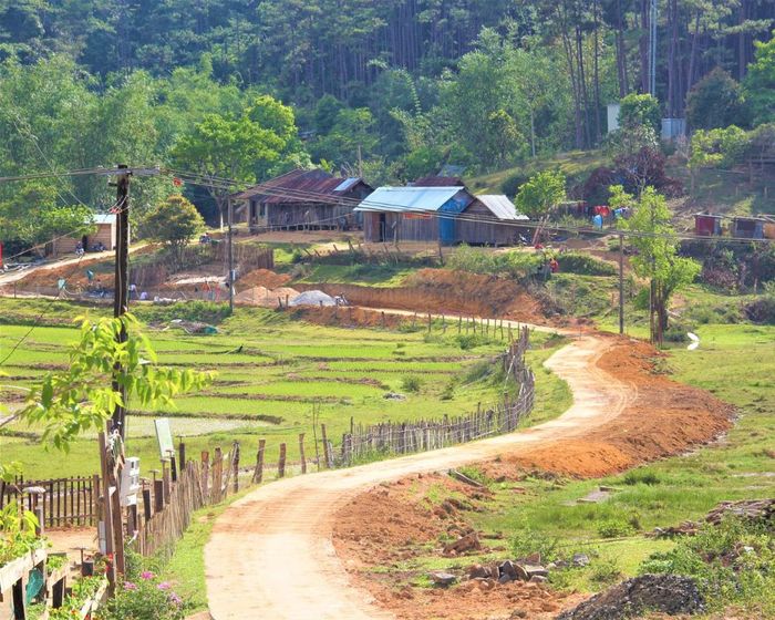 Độc đáo Kinh nghiệm du lịch Măng Đen vào những ngày lễ Tết 8
