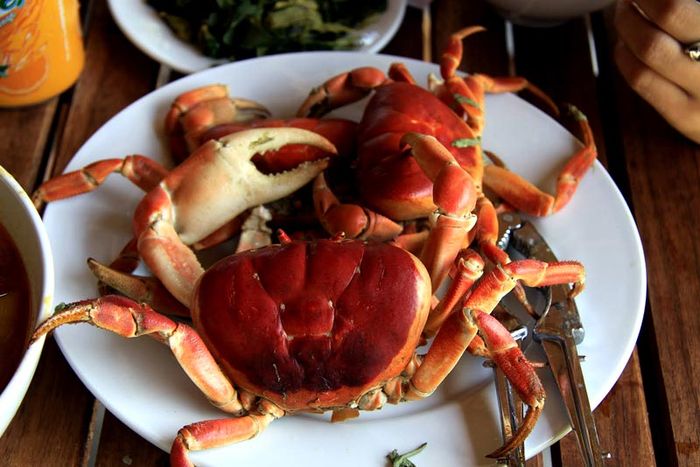 Khám phá Cù lao Chàm Hội An - Khu dự trữ sinh quyển trong xanh của thế giới 18