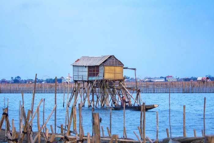 Khám phá vẻ đẹp giản dị của Phá Tam Giang trong một ngày lang thang ở Huế 6