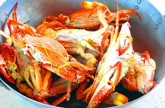 Gợi ý về trải nghiệm du lịch và ẩm thực tại Hòn Sơn