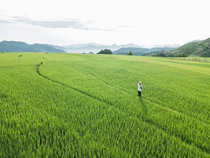 Hãy cùng Phạm Hoài Thương và nhóm bạn 9x đánh giá Mộc Châu trong một mùa hè trong lành và dịu dàng