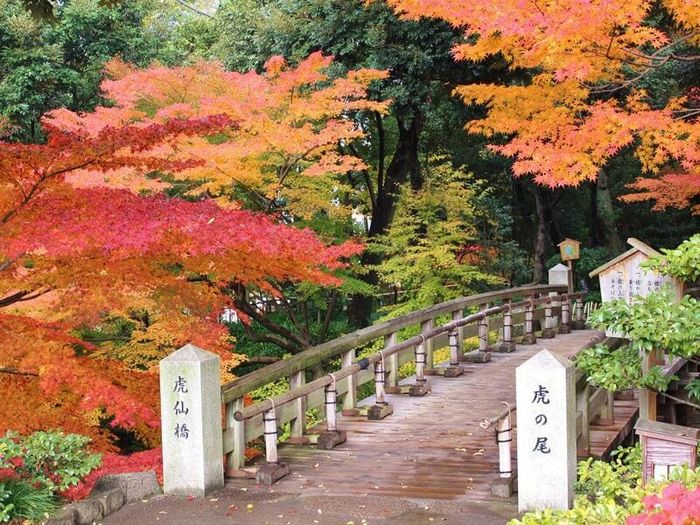 Vùng đất Aichi - nơi lưu giữ di sản lâu đài và samurai tại Nhật Bản
