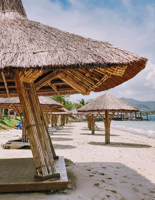 Một lần đặt chân đến đảo Hòn Tằm là một trải nghiệm không thể bỏ lỡ trong tuổi thanh xuân của bạn