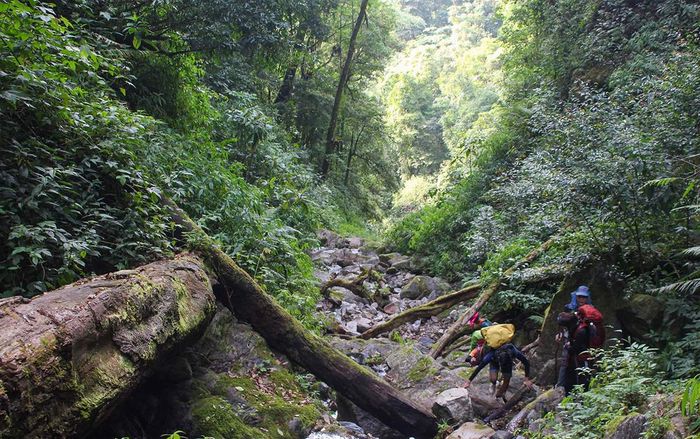 Khám Phá Trekking Núi Ngọc Linh, Chốn Linh Thiêng Của Người Xê Đăng 10