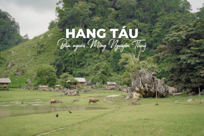 Khám phá Hang Táu cùng Yến Lee: Những trải nghiệm đáng nhớ (phần 2)