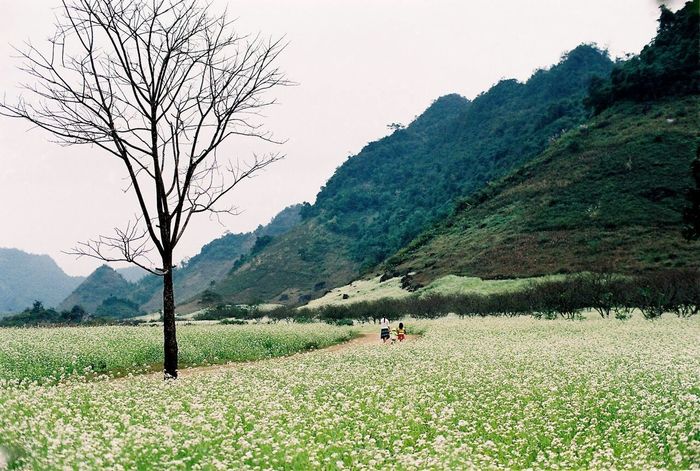 Bí quyết trekking Pha Luông mới nhất từ Mytour.vn 4