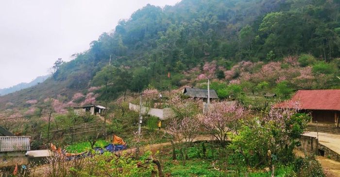 Bí quyết khám phá bản Lóng Luông tự túc từ A đến Z 4