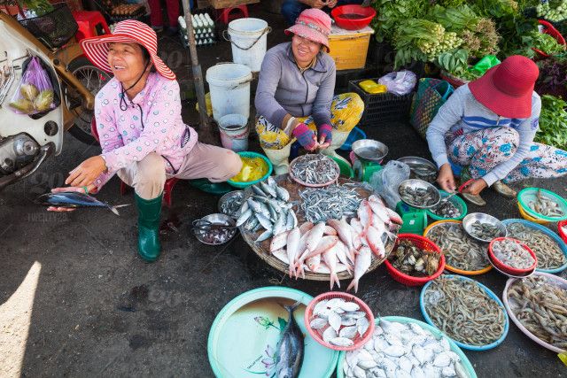 Khám phá bí quyết mua hải sản Nha Trang chất lượng 8