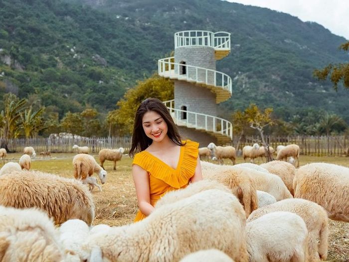 Khám phá 12 thiên đường du lịch Cam Ranh mà bạn không thể bỏ lỡ 12