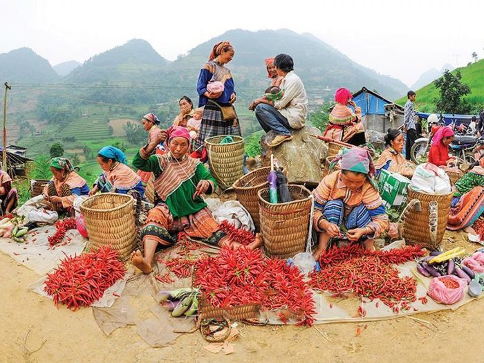 Bí mật Du lịch Mộc Châu vào mùa xuân 5