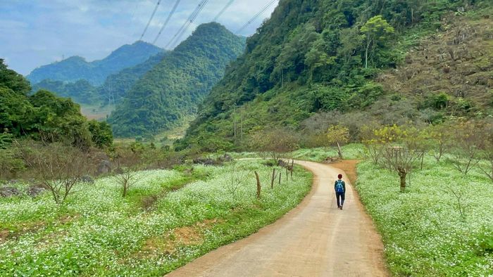 Khám phá Mộc Châu cùng chàng trai đam mê du lịch Thiện Nguyễn 12