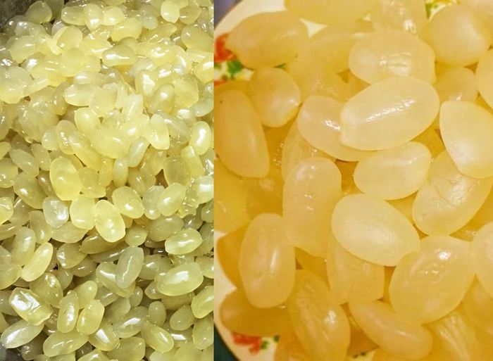 Thưởng thức hạt đác Nha Trang - Món đặc sản độc đáo của thành phố biển 4