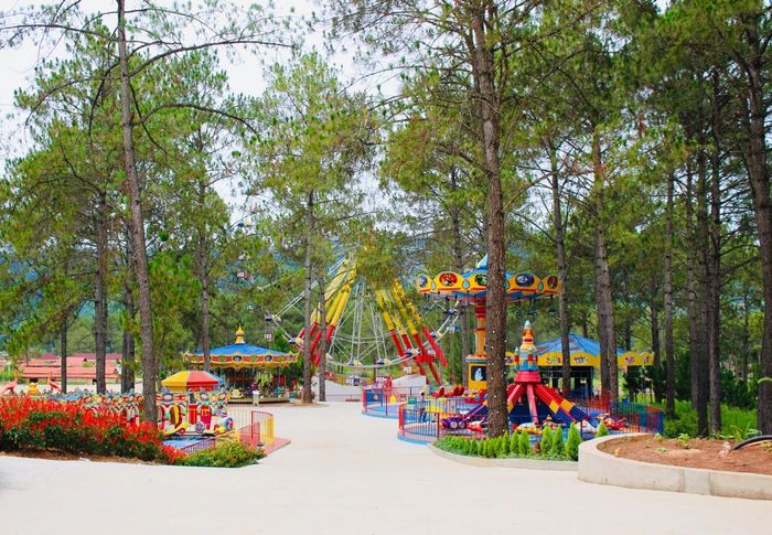 Bí quyết khám phá rừng thông Bản Áng tự túc một cách tỉ mỉ nhất 7