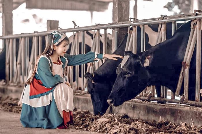 Đánh giá điểm đến không thể bỏ qua tại Mộc Châu, bạn đã biết chưa? 10