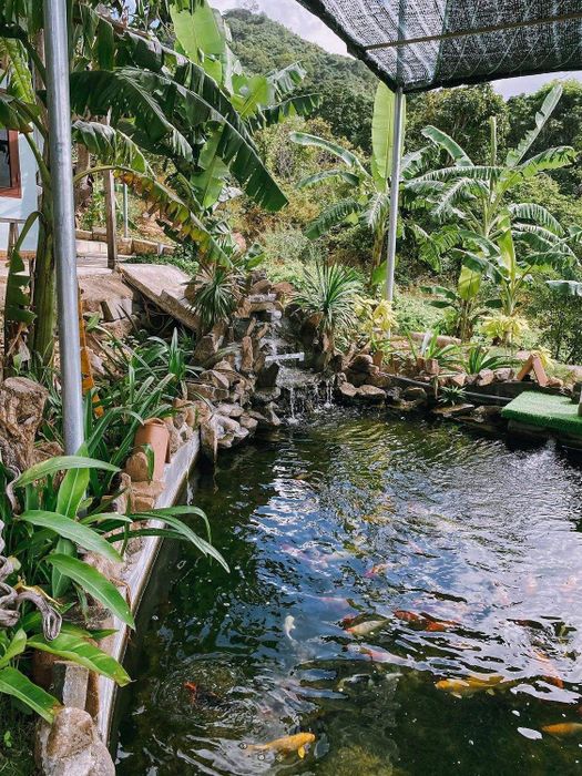 Một chút thanh bình đầu năm cùng Cường Quốc Phạm tại Chùa Ba Đảo Nha Trang 15
