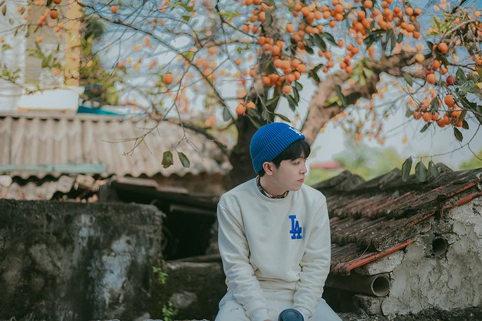 Sức hút của cây hồng cổ ở Ninh Bình đang khiến bao người đổ xô tới