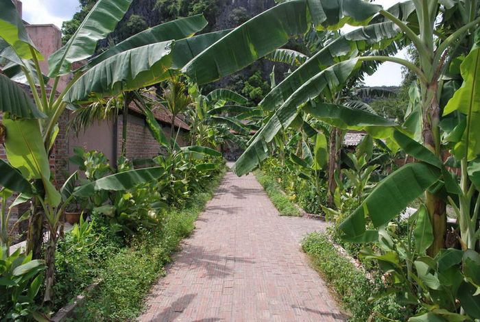 Khám phá không gian làng cổ Bắc Bộ tại Cố Viên Lầu, Ninh Bình 6