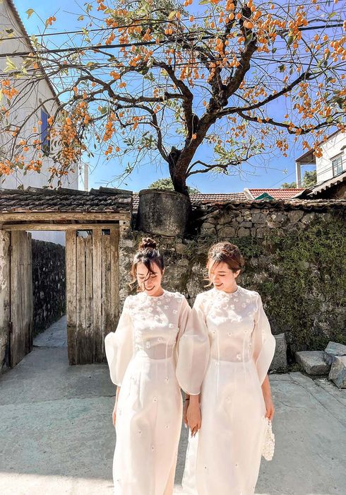 Sức cuốn hút của cây hồng cổ ở Ninh Bình đã khiến nhiều người đổ xô đến