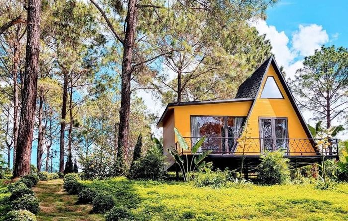 Đánh giá điểm đến không thể bỏ qua tại Mộc Châu, bạn đã biết chưa? 7
