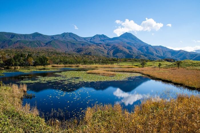 Khám phá vẻ đẹp của miền Bắc Hokkaido trong tuyết trắng 6
