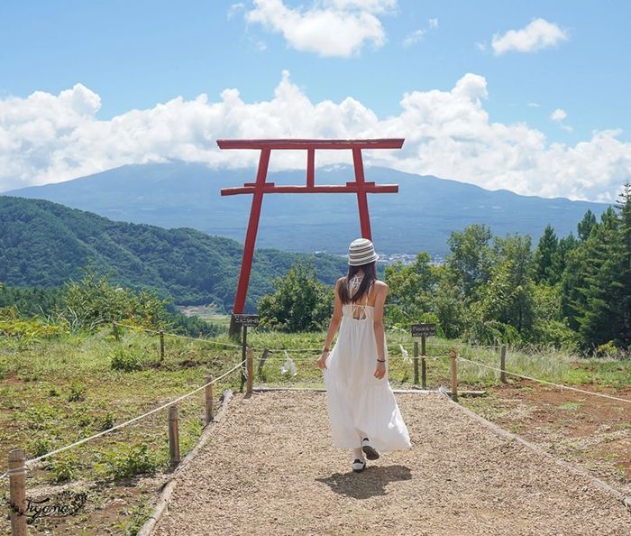 Cổng Torii Nhật Bản - Nơi dẫn lối đến thế giới của các vị thần 2