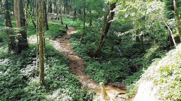 Khám Phá Hành Trình Trekking Núi Ngọc Linh: Chốn Linh Thiêng Của Người Xê Đăng