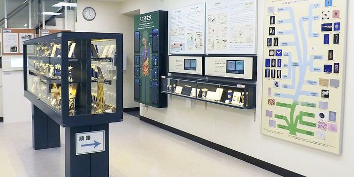 Khám phá Meguro và trải nghiệm độc đáo ở đây 7