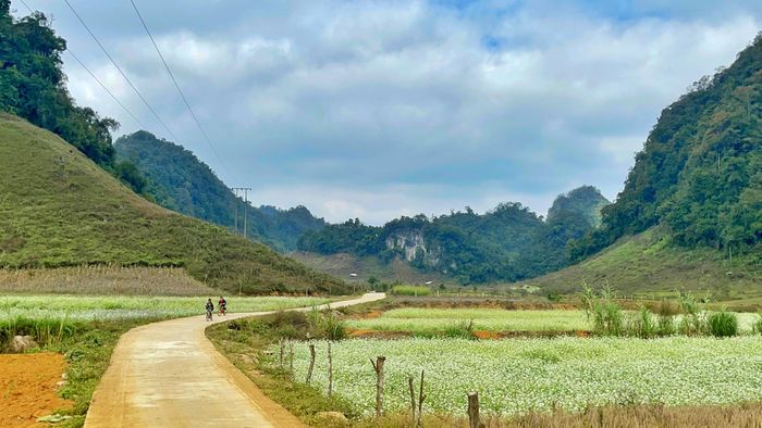 Khám phá Mộc Châu cùng chàng trai đam mê du lịch Thiện Nguyễn 13