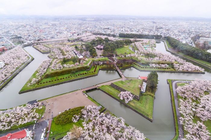 Khám phá vẻ đẹp của miền Bắc Hokkaido trong tuyết trắng 2