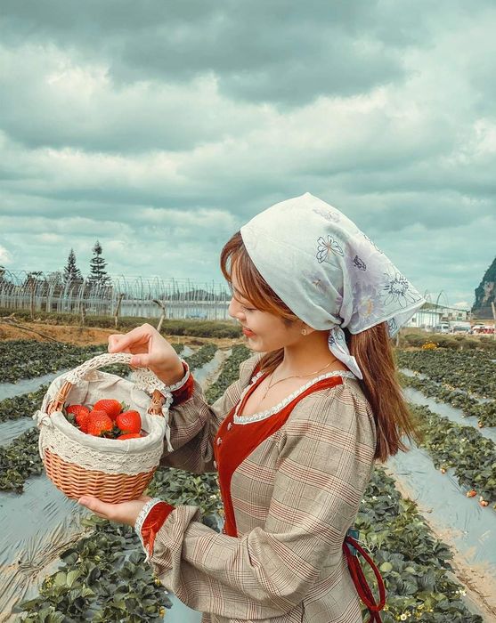 Đánh giá Mộc Châu vào mùa hoa mận cực kỳ đẹp cùng Maria Tuyền 4