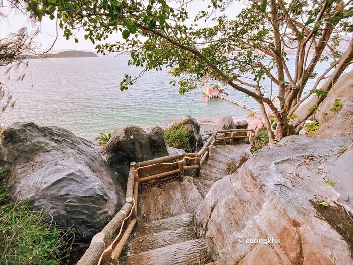 Một lần đặt chân đến đảo Hòn Tằm là một trải nghiệm không thể thiếu trong tuổi thanh xuân của bạn