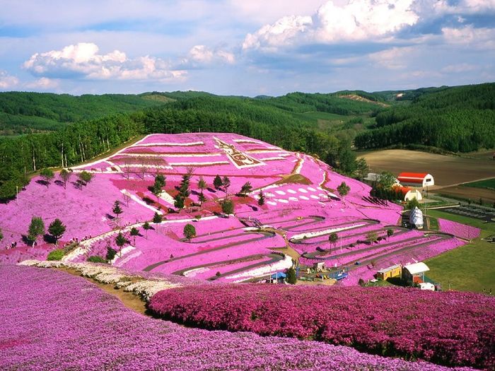 Khám phá vẻ đẹp của miền Bắc Hokkaido trong tuyết trắng 5