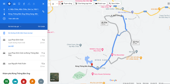 Kinh nghiệm khám phá rừng thông Bản Áng tự túc chi tiết nhất 10