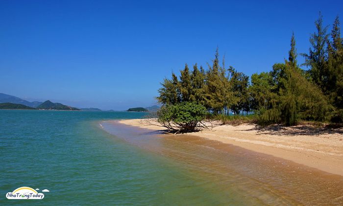 Hòn Thị Nha Trang - Hòn ngọc với vẻ đẹp hoang sơ ở phía Bắc của thành phố biển 4